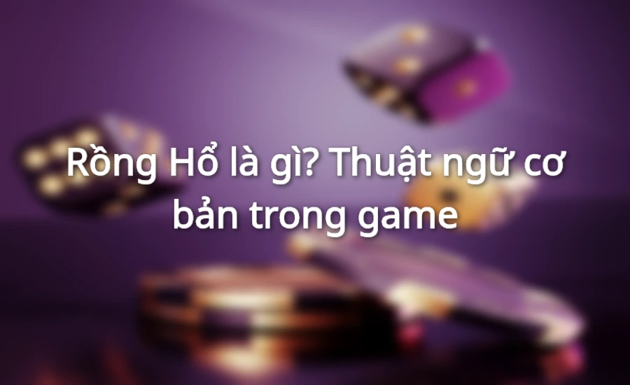 Rồng Hổ là gì? Thuật ngữ cơ bản trong game