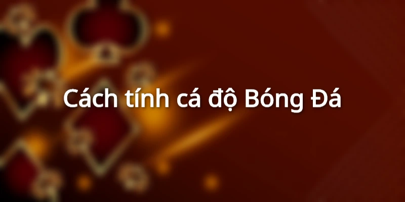 Cách tính cá độ Bóng Đá